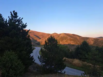 a road in the middle of a mountain with trees at Kucica od drveta 1 in Kopaonik