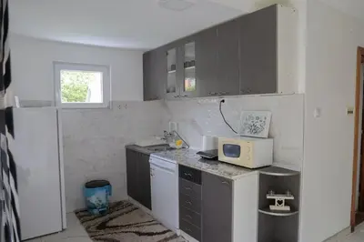 a kitchen with a sink and a microwave at Apartman Nikolić in Kuršumlija