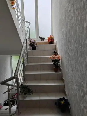 a staircase with potted plants and a window at Apartmani Petrović in Soko Banja