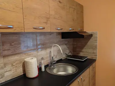a kitchen with a sink and a counter top at Apartmani Petrović in Soko Banja