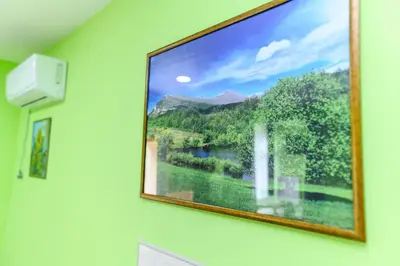 a picture of a river on a wall at Vila Misljenovic, u centru Sokobanje, na pesackoj zoni in Soko Banja