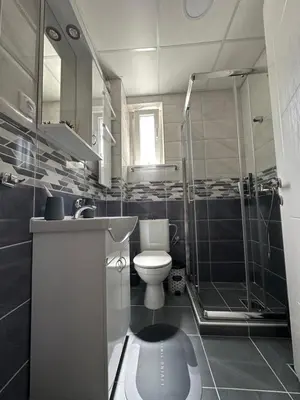 a bathroom with a shower and a toilet and a sink at Talija apartman 4 in Vrnjačka Banja