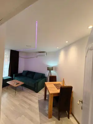 Gallery image of MiS Apartman br7 in Soko Banja