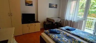 a bedroom with a bed and a tv and a window at Maja V Apartmani Sokobanja in Soko Banja