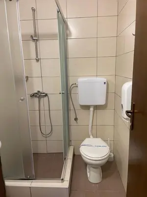 a small bathroom with a toilet and a shower at 4 vodenice Brzeće B&B in Brzeće