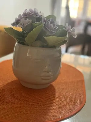 a white vase with a plant in it on a table at Jelena in Vranje