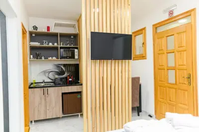 a living room with a television on a wall at SPA apartman Tomin adults only in Soko Banja