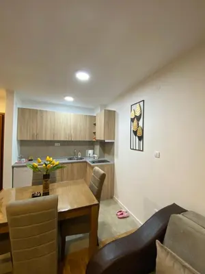 a kitchen and living room with a table and a couch at Rtanj in Soko Banja
