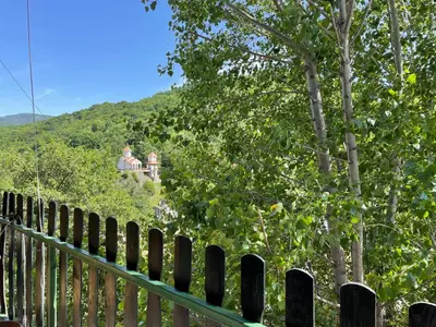 two people sitting on a hill behind a fence at Lola in Prolomska Banja