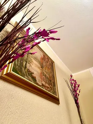 Gallery image of A2 apartment Nis - 80 m2 - City center in Niš