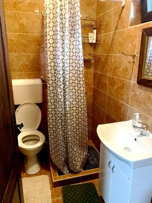 a bathroom with a toilet and a sink and a shower curtain at Miletića čardak Ribarska Banja in Ribarska Banja
