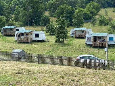 a group of camels in a field behind a fence at Tomiceva Koliba Rtanj 2 in Rtanj
