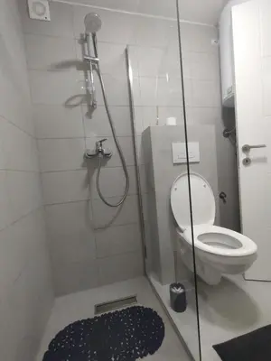 a bathroom with a shower with a toilet and a rug at Apartman Marla Vrnjacka Banja in Vrnjačka Banja