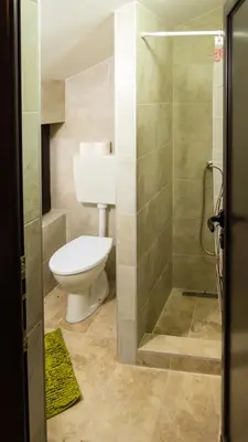 a bathroom with a toilet and a shower at Lesnik vacation home in Despotovac
