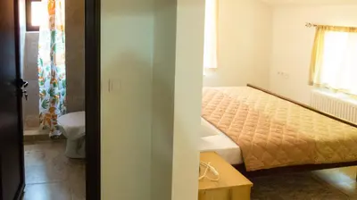a small bedroom with a bed and a bathroom at Lesnik vacation home in Despotovac