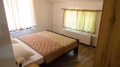 a small bedroom with a bed and two windows at Lesnik vacation home in Despotovac
