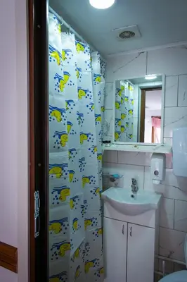 a bathroom with a shower curtain with a sink at Porodična kuća Vitina Iža in Pirot