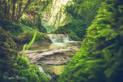 a waterfall in the middle of a forest at Restoran Lisine - Resavska pećina in Despotovac