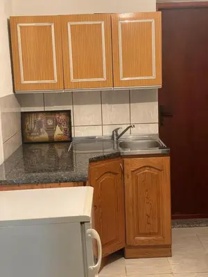 a kitchen with a sink and wooden cabinets at Apartman Jošanička Banja in Jošanička Banja