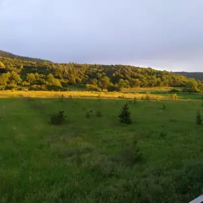 Natura Lux & Parking Free - Green Hill