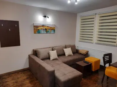 a living room with a brown couch and a table at Apartmani Sunce Stara planina in Crni Vrh