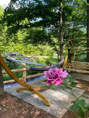 a flower sitting on a bench next to a hammock at Planinska vila KTM Lisine in Despotovac
