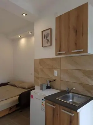a kitchen with a sink and a bed in a room at Studio Melem 2 in Soko Banja