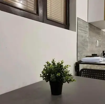 a potted plant sitting on a counter in a kitchen at Studio Melem 3 in Soko Banja