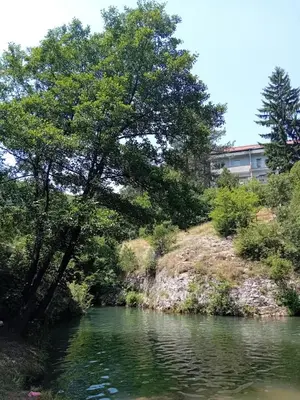 a river with trees and a building in the background at Soko Banjica in Soko Banja