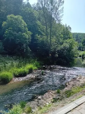 a river next to a road with trees at Soko Banjica in Soko Banja