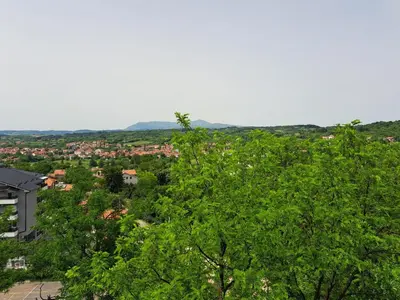 a view of a city from behind some trees at Soko Banjica in Soko Banja