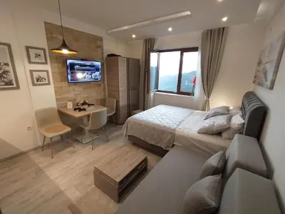 a bedroom with a bed and a desk and a television at Pavic SPA Milmari L34 in Kopaonik
