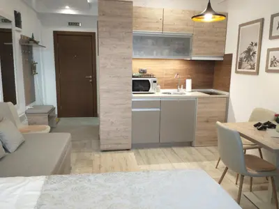 a room with a kitchen and a living room at Pavic SPA Milmari L34 in Kopaonik