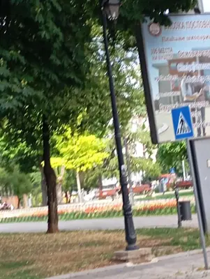 a street light next to a tree and a street sign at Apartment Aleksandrija in Niš