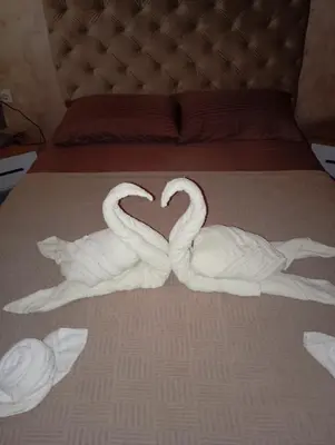 two swans made out of towels on a bed at Apartment Aleksandrija in Niš
