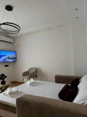 a bedroom with a bed and a couch and a tv at HelVik Apartman Aqua Park in Vrnjačka Banja