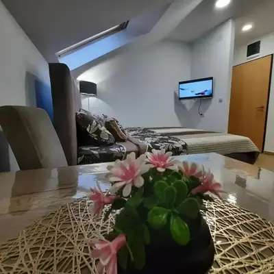 Studio Djukić Sokobanja