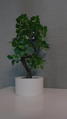 a plant in a white pot sitting on a table at Vila Golija Peak Suites in Kopaonik