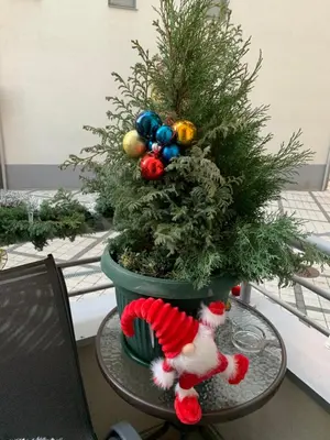 a christmas tree in a pot on a table at Petra Apartments in Jagodina