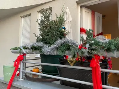 a porch with two christmas trees and a fence at Petra Apartments in Jagodina