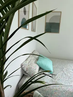 a plant next to a couch with two pillows at Hacienda R - kuca sa bazenom in Siokovac