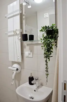 a bathroom with a sink and a mirror and a plant at Penthaus apartman NOVAK in Vrnjci
