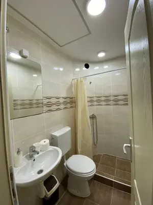 a bathroom with a white toilet and a sink at Vila Alex in Vrnjačka Banja