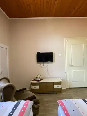 a bedroom with a tv on the wall and a bed at Vila Alex in Vrnjačka Banja