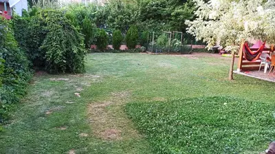 a yard with a lawn with a swing and chairs at Cozy Quiet Apartment Nis in Niš