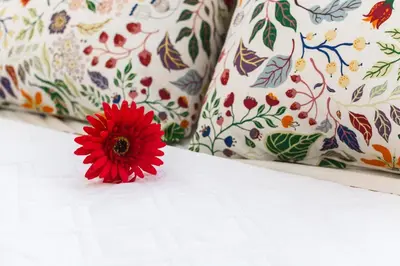 a red flower sitting on top of a bed with pillows at Gracija in Jagodina