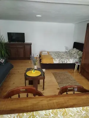 a living room with a bed and a table at Apartman Ristić in Vranje
