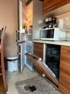 a kitchen with a dishwasher and a microwave at Lily Cozy Apartment in Niš