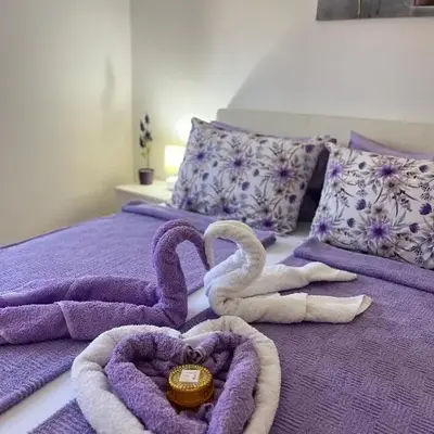 Lily Cozy Apartment