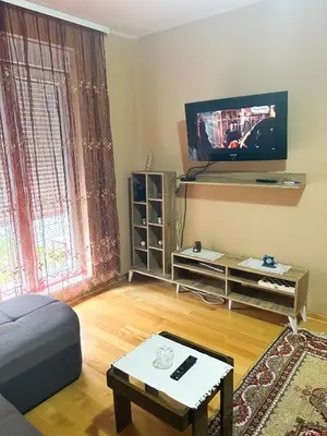 a living room with a couch and a tv at Apartman Jasmina Vrnjačka banja in Vrnjačka Banja